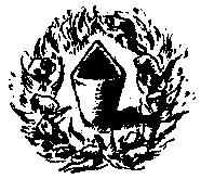 img13.jpg (13306 bytes)