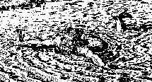 img9.jpg (17430 bytes)
