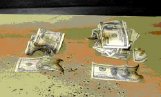 photo-partially burned U.S. currency