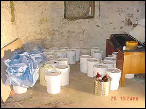 photo-forty-two 5-gallon buckets in the basement 