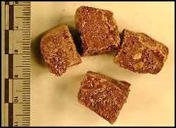 photo-homemade chocolate containing suspected psilocybin mushrooms