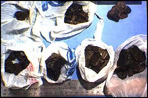 photo-six plastic wrappers and one plastic vial, each containing a brown brittle substance having the smell of manure