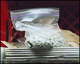 photo of Tablets purchased during the investigation and recovered at the laboratory site (approximately 4,000) weighed 290 - 295 milligrams each, and were brownish-white, plain (no logo), and unscored