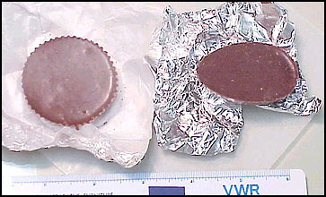 photos of chocolate candies containing ground psilocybin mushrooms