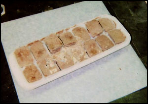 photo of one 14-section plastic ice cube tray with each compartment containing a cube of hardened mixture of chocolate and plant material, suspected containing psilocybin mushrooms